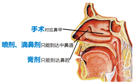 清鼻堂