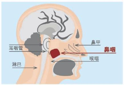 清鼻堂