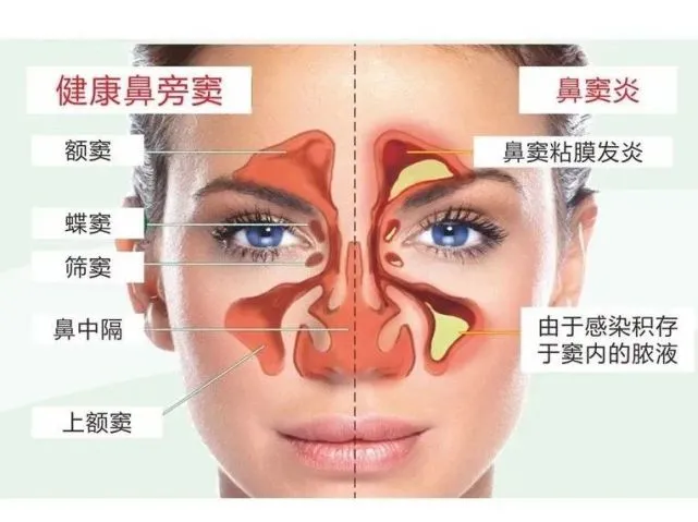 清鼻堂