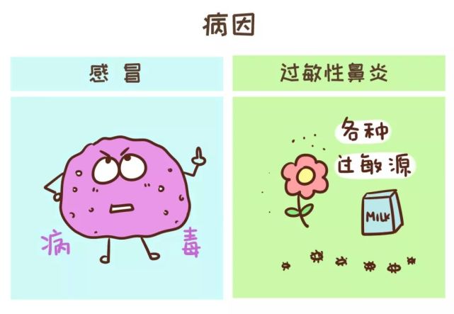 傻傻分不清楚孩子的感冒和过敏性鼻炎？