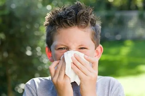 过敏性鼻炎症状有哪些